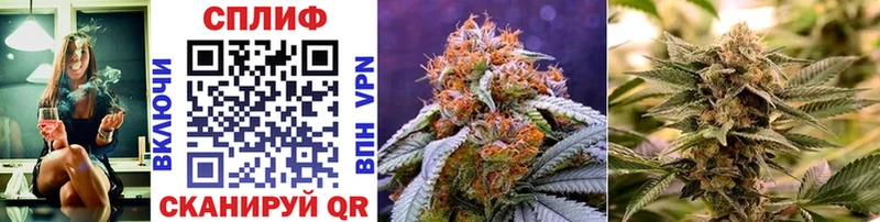 Шишки марихуана OG Kush  Буйнакск 